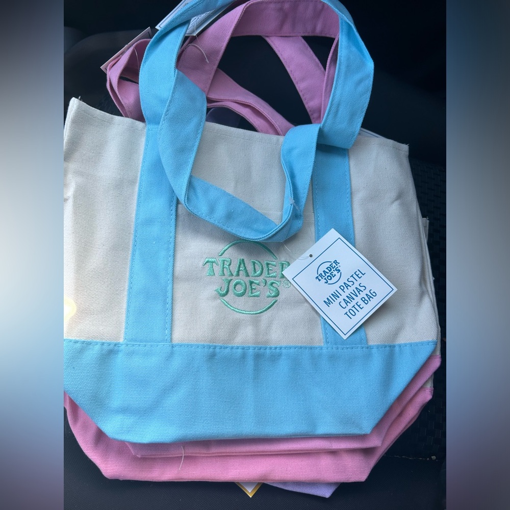 Trader Joe’s mini canvas tote pastel blue